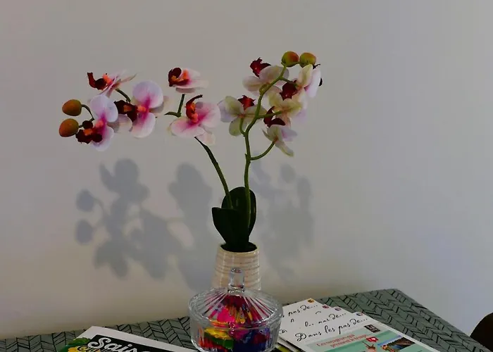 Appartement Good Vibes *